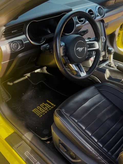 Aufgeräumter Innenraum eines Ford Mustang Mach 1 mit Lenkrad und Ledersitz
